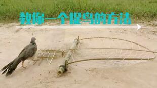 野鸡排套制作视频,家常美味尽在掌握