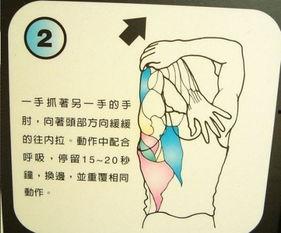 拍打拉筋自愈法视频教程,轻松掌握居家养生秘诀