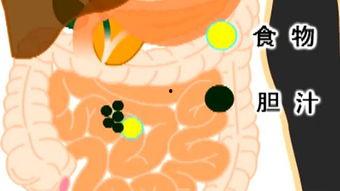 治胃炎视频,跟随专家视频学习实用方法