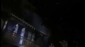 哥也鲁视频,揭秘神秘世界的奇幻之旅