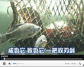 科技苑视频,探索前沿科技，揭秘创新奥秘