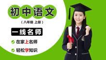 初二免费教学视频,开启知识探索之旅