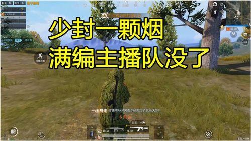 编烟视频,传统工艺与现代创新的完美融合