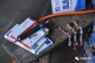 农村阉猪视频,传统技艺与现代视角的碰撞