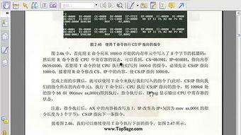 撒尿视频汇编,撒尿视频汇编背后的社会现象解析
