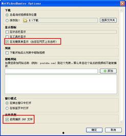 网页视频的格式,探索不同格式的特点与应用