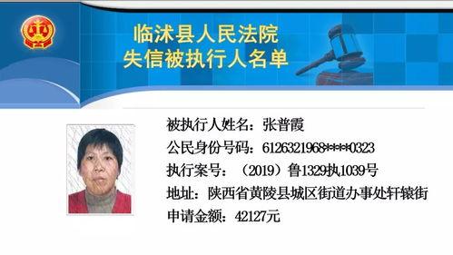 临沭新闻视频,聚焦本土发展，展现临沭风采