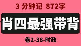 毛中特视频,深入解读毛泽东思想与中国特色社会主义理论体系