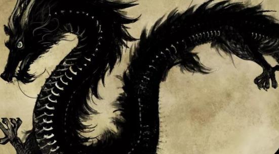 龙的故事视频,探寻神秘龙文化的传奇故事