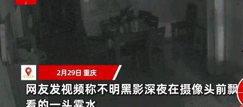 视频黑影,探寻真相与悬疑背后